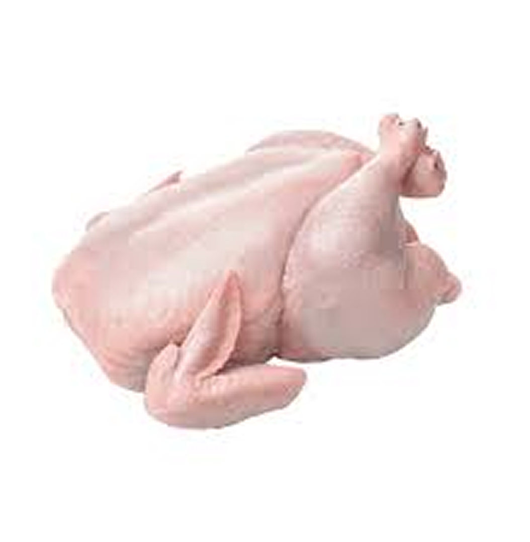 Ayam