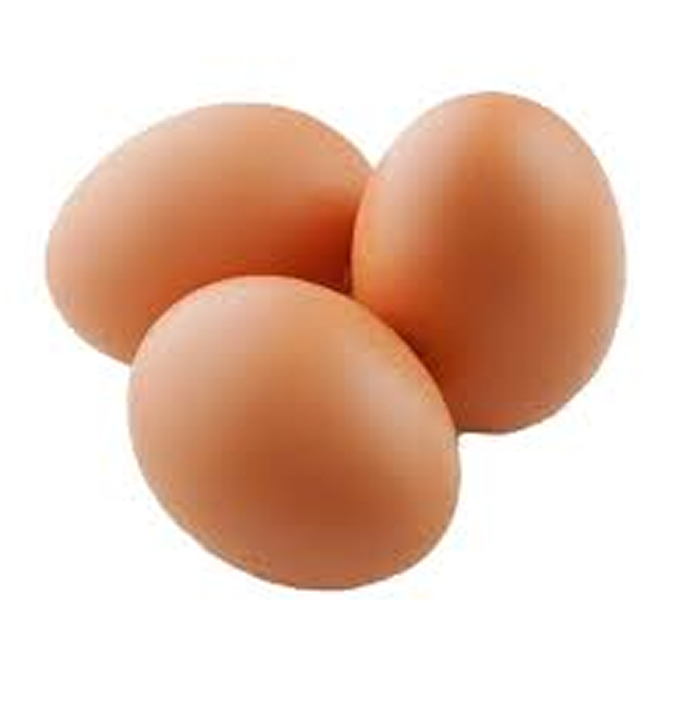 Telur